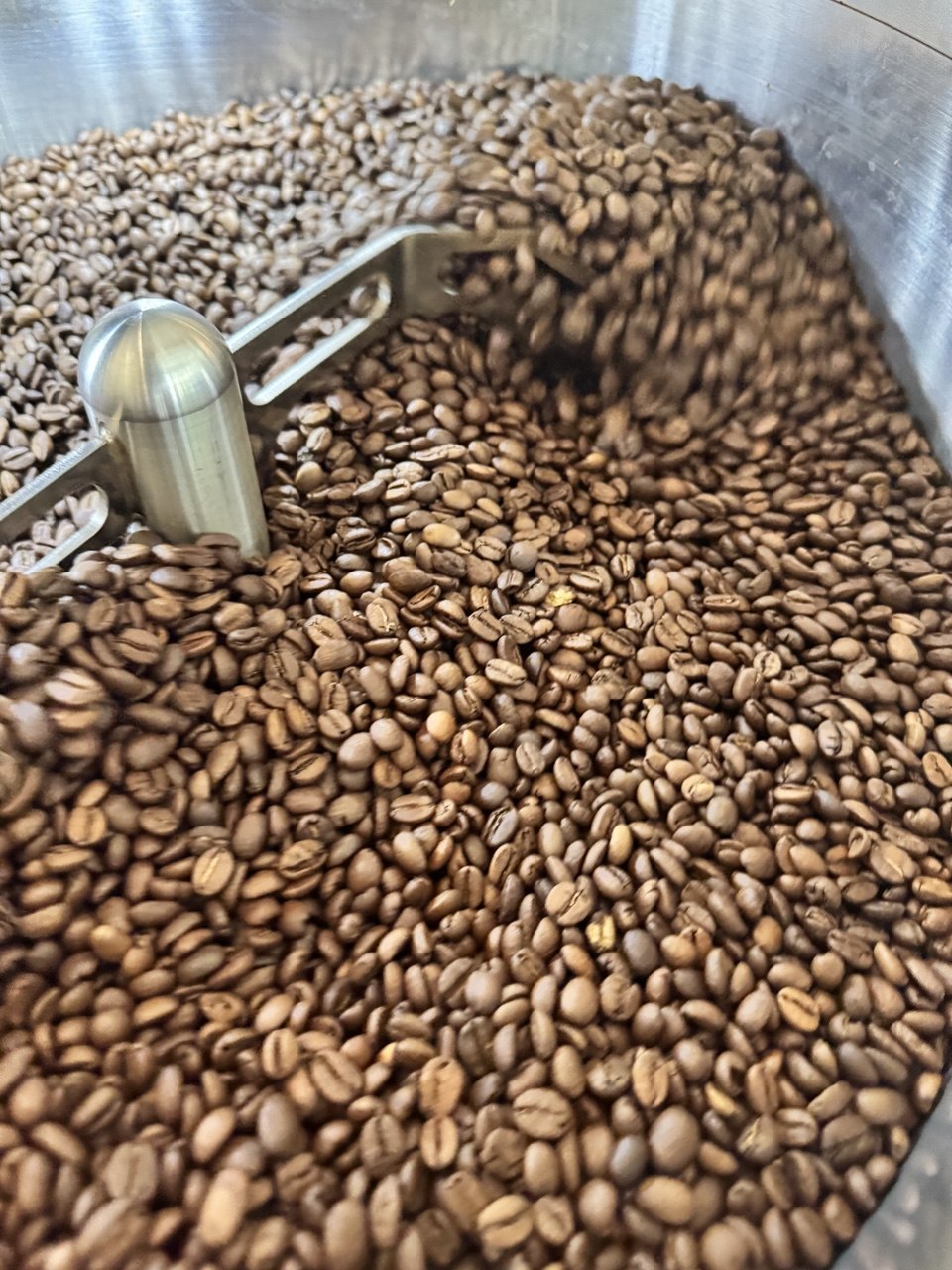 Coffee Beans