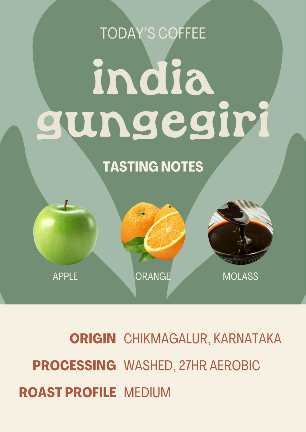 India Gungegiri