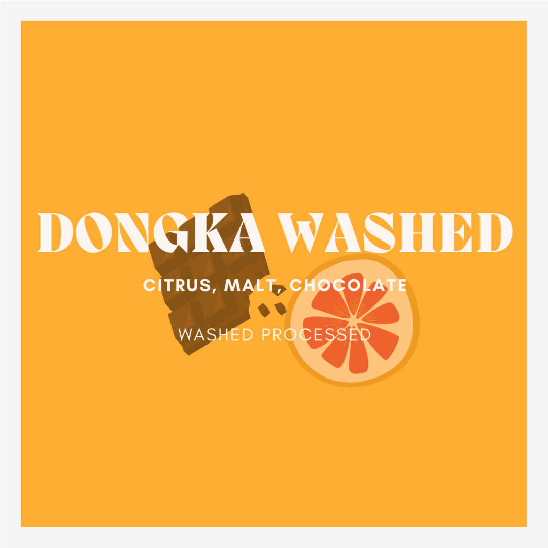 Dongka Washed