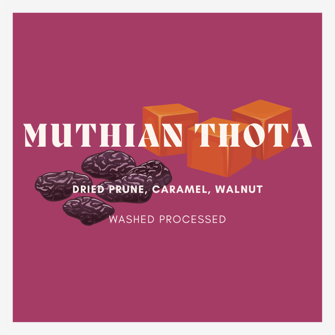 Muthian Thota