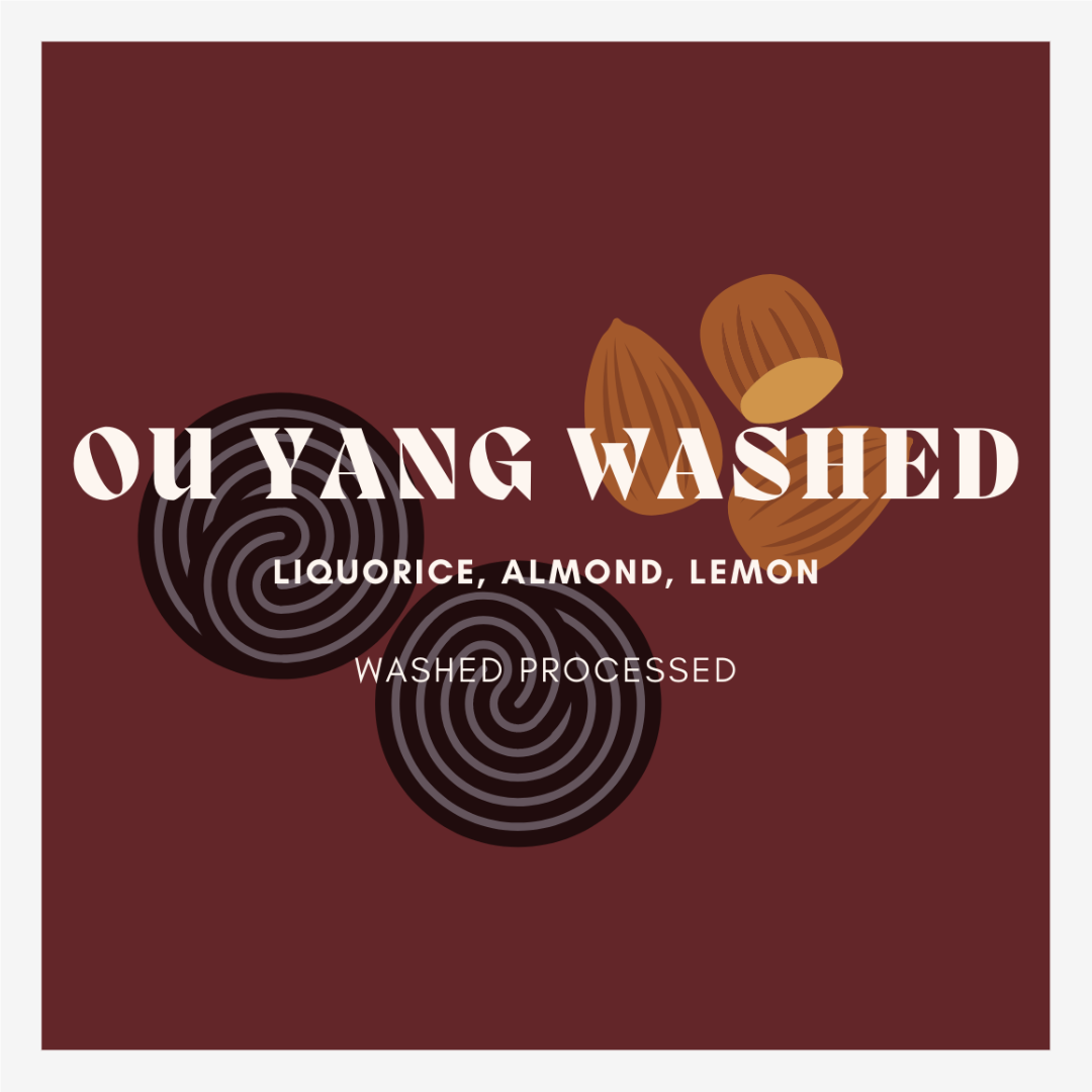 Ou Yang Washed