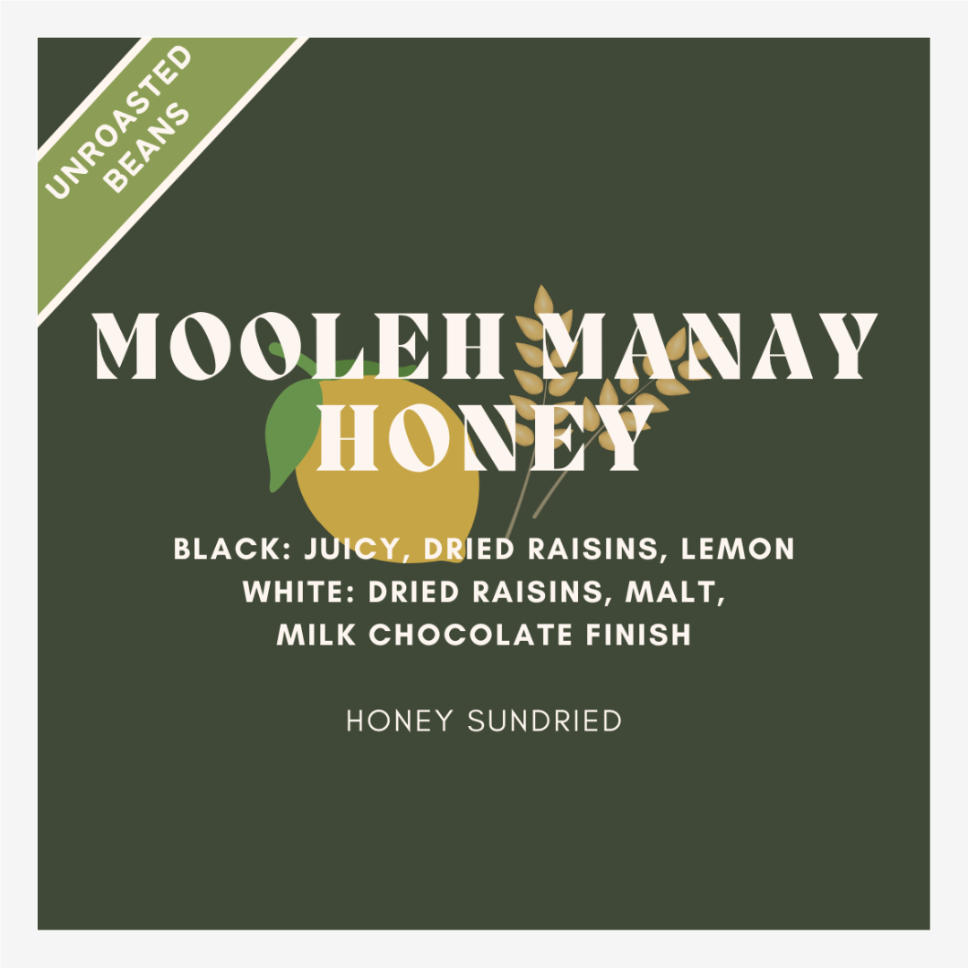 Mooleh Manay Honey