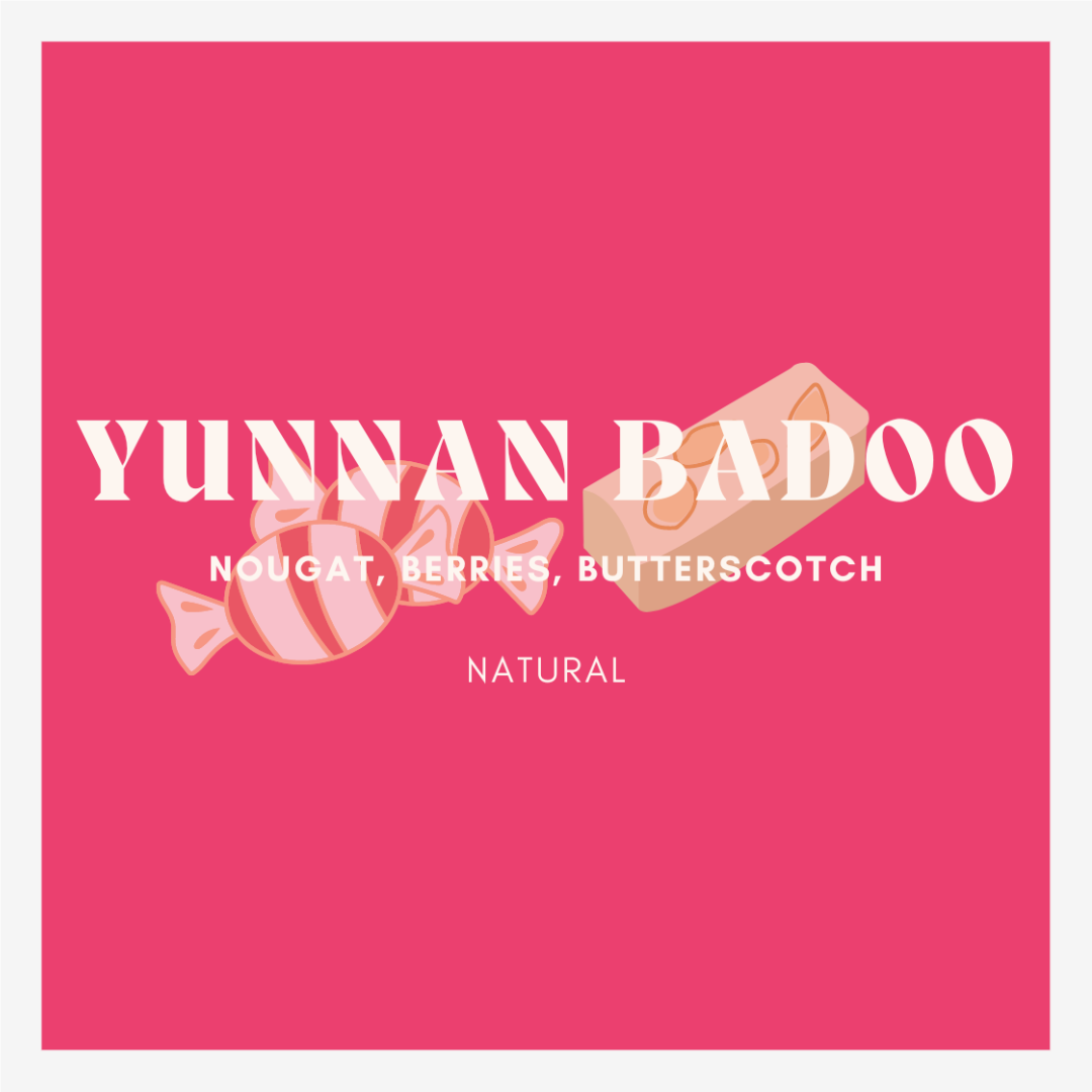Yunnan Badoo