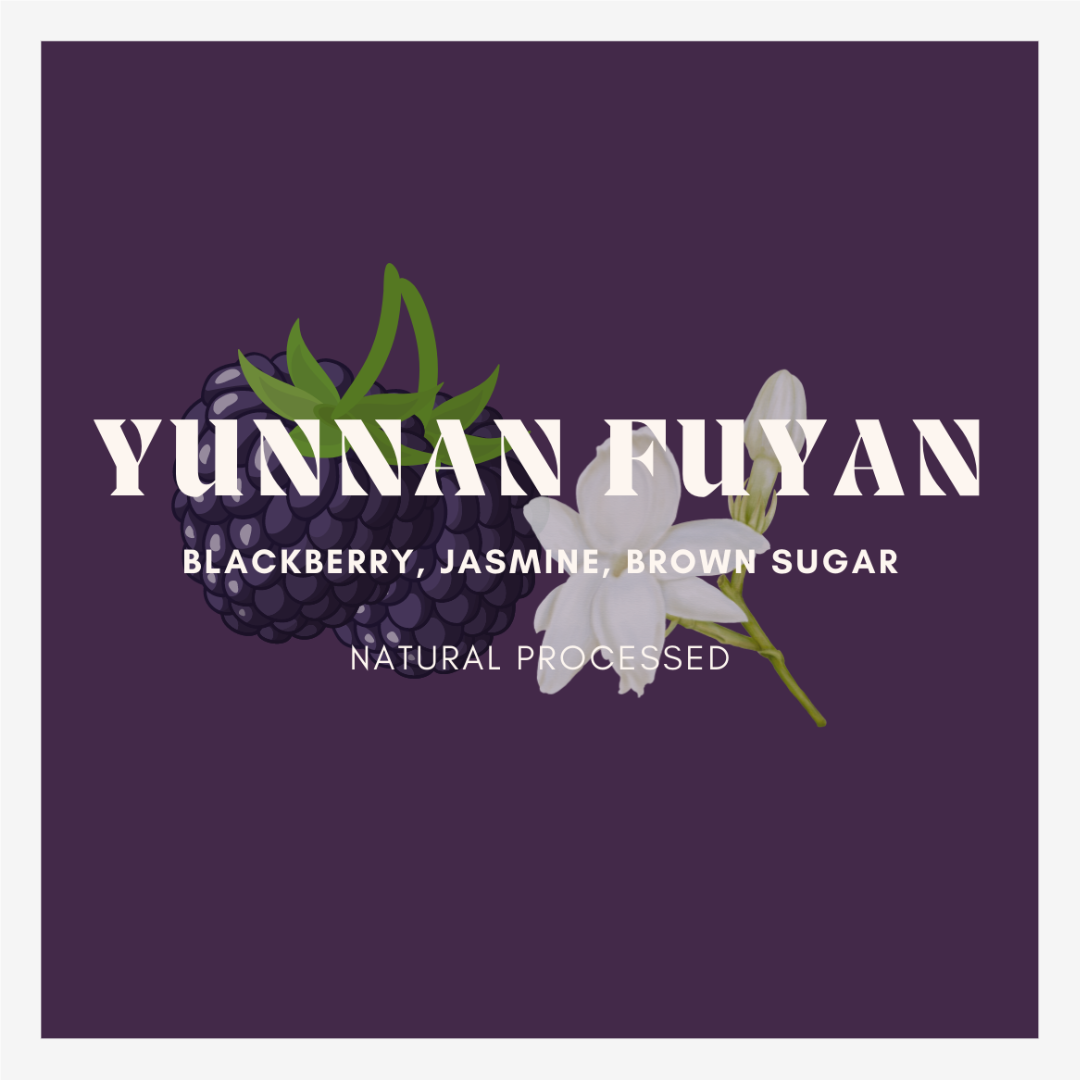 Yunnan Fuyan