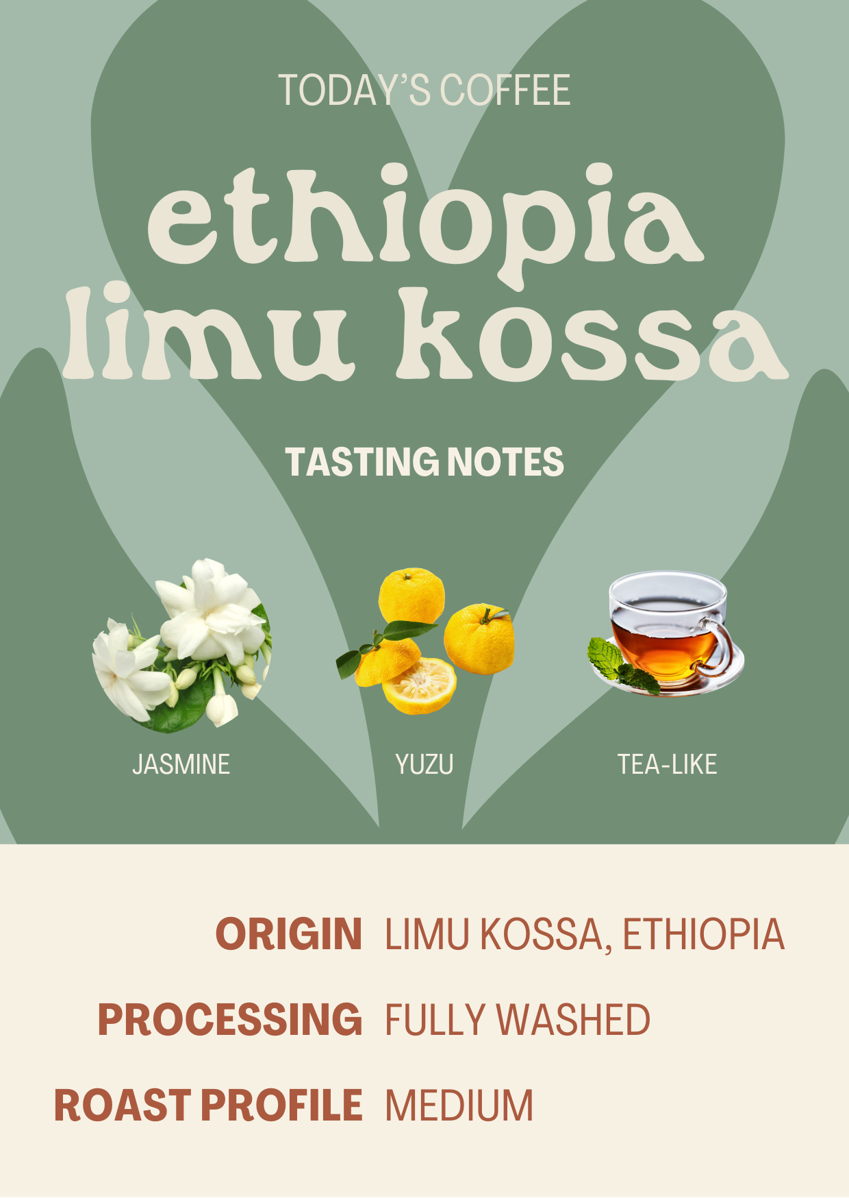 Ethiopia Limu Kossa