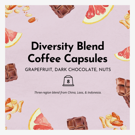 Diversity Blend Coffee Capsules - Pack of 8