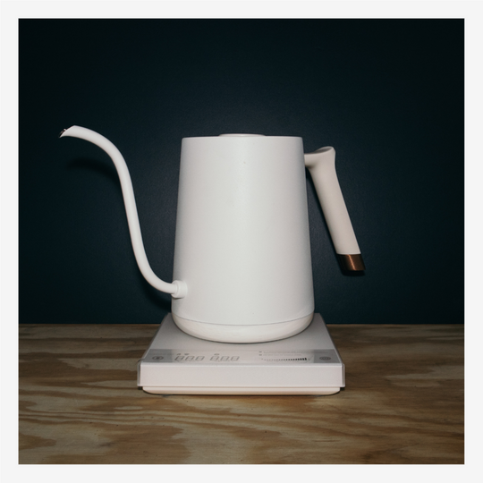 FISH SMART Electric Pour Over Kettle - White
